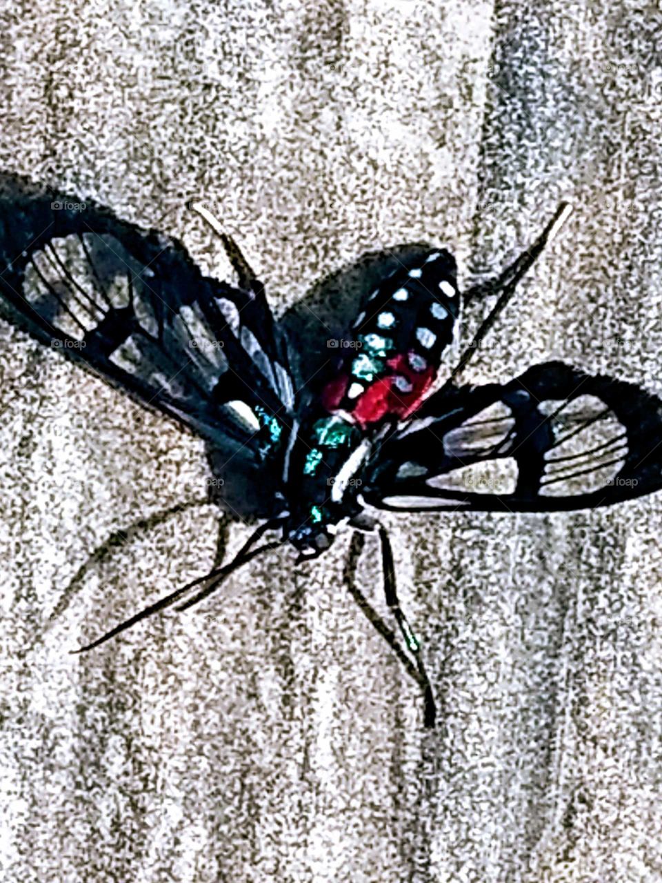 uma imagem vista de cima