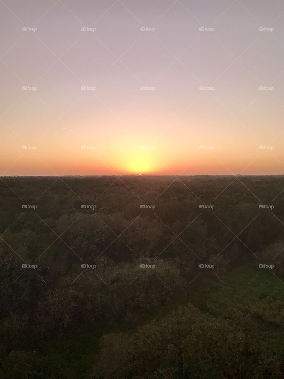 Sunset above Myakka