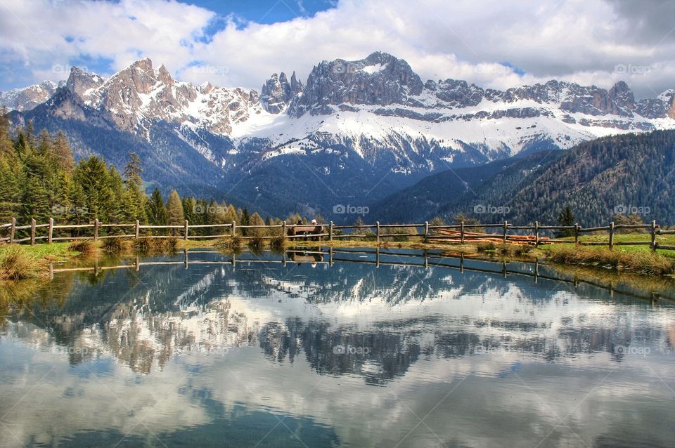 Scenic view of nature