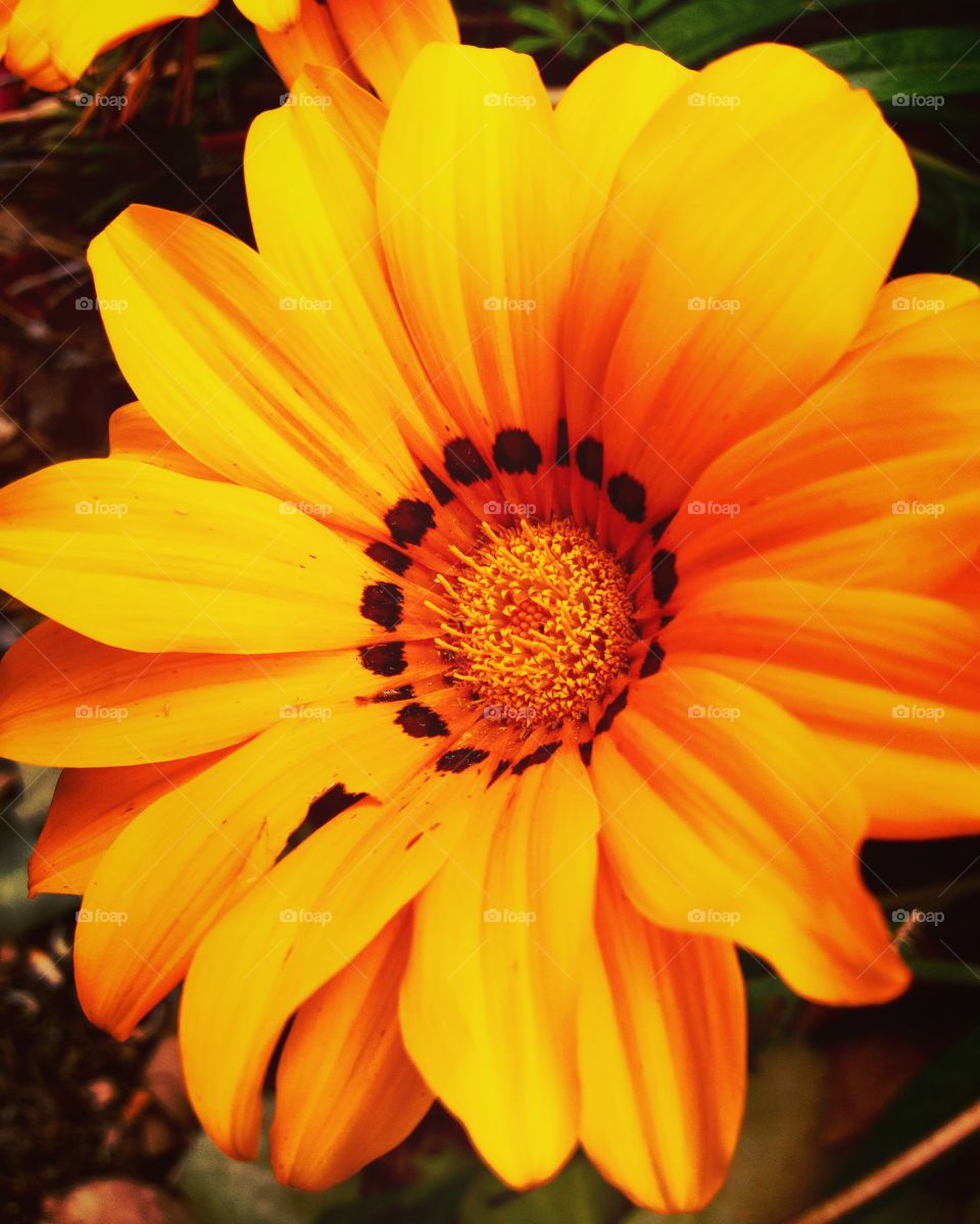 The one that got away...