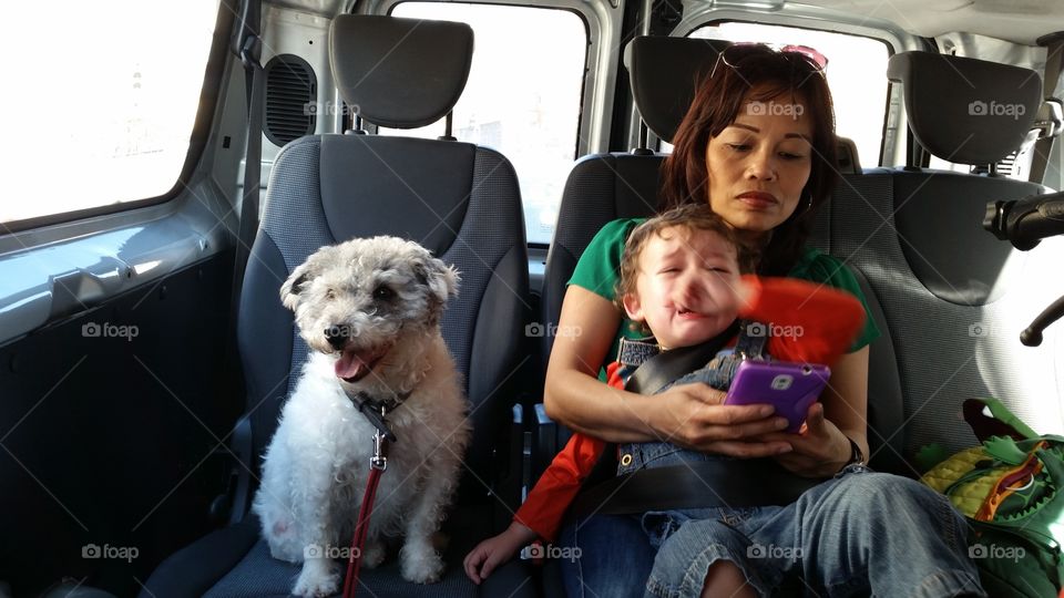 Car, Vehicle, Seat, Sit, Child