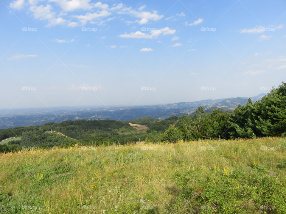 Pasture in autumn on sunny day