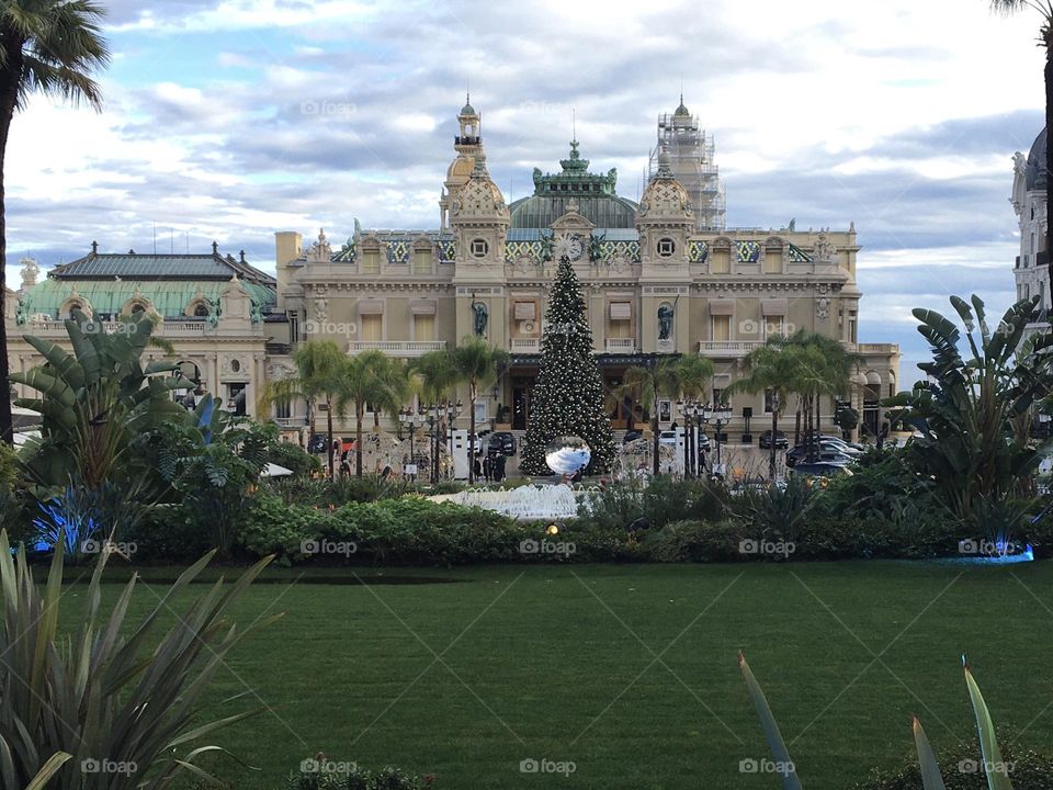 Garden, trees and opera in perspective 