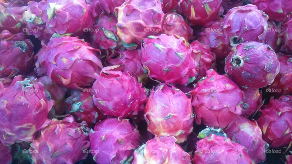 the dragon fruits
