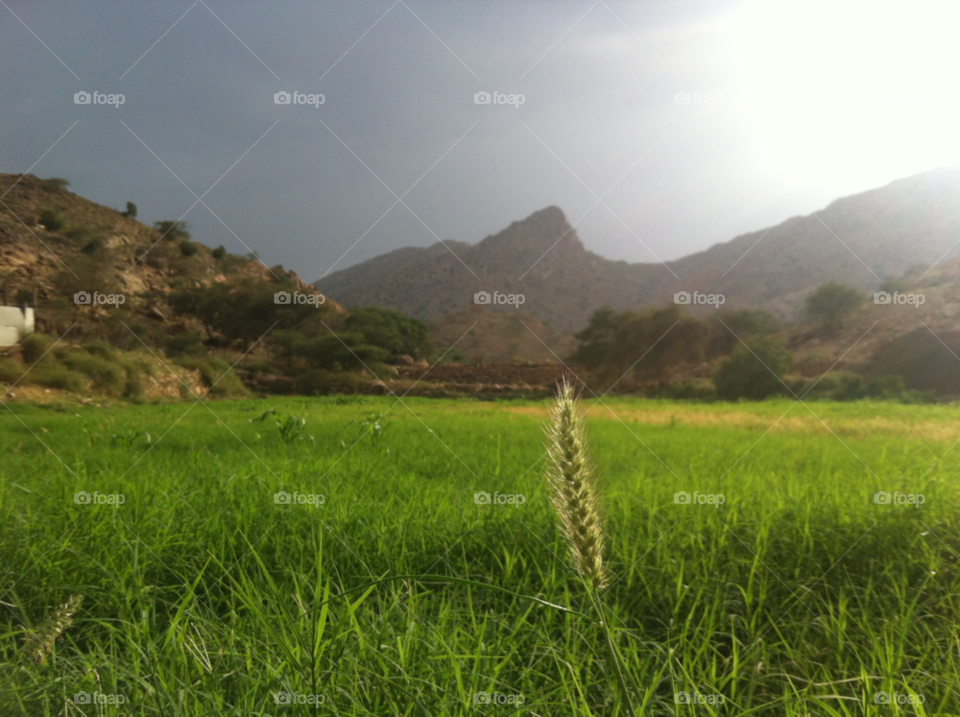 winter green cloudy taif by majed