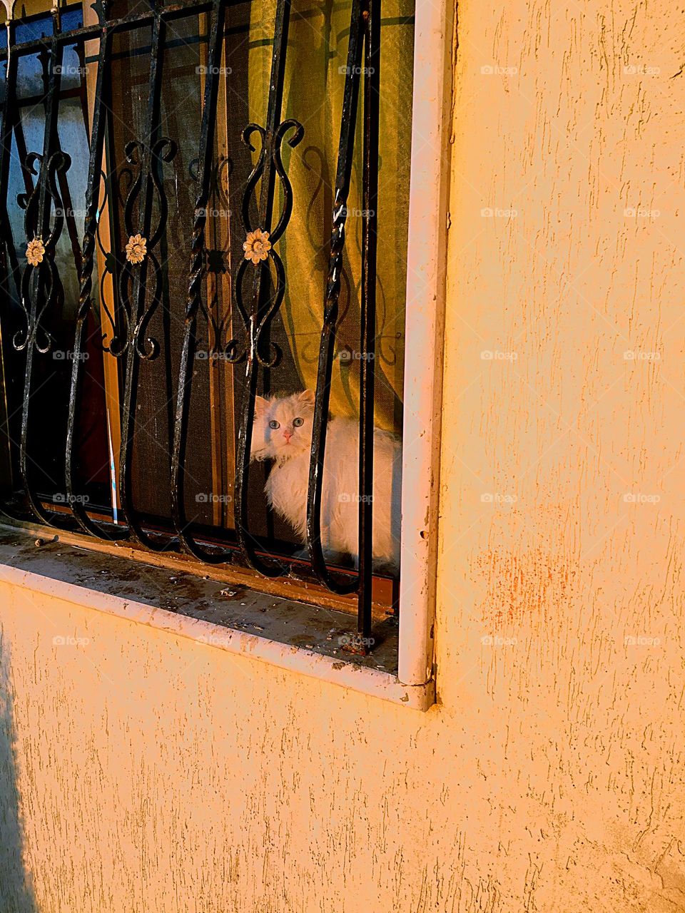 Funny with Meesho ❤️