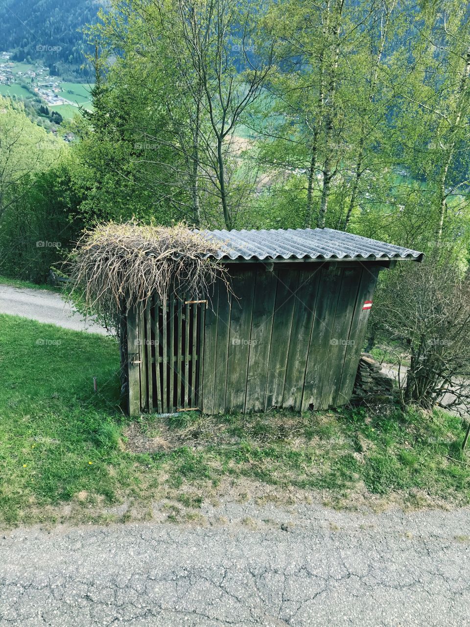 Holzhütte 