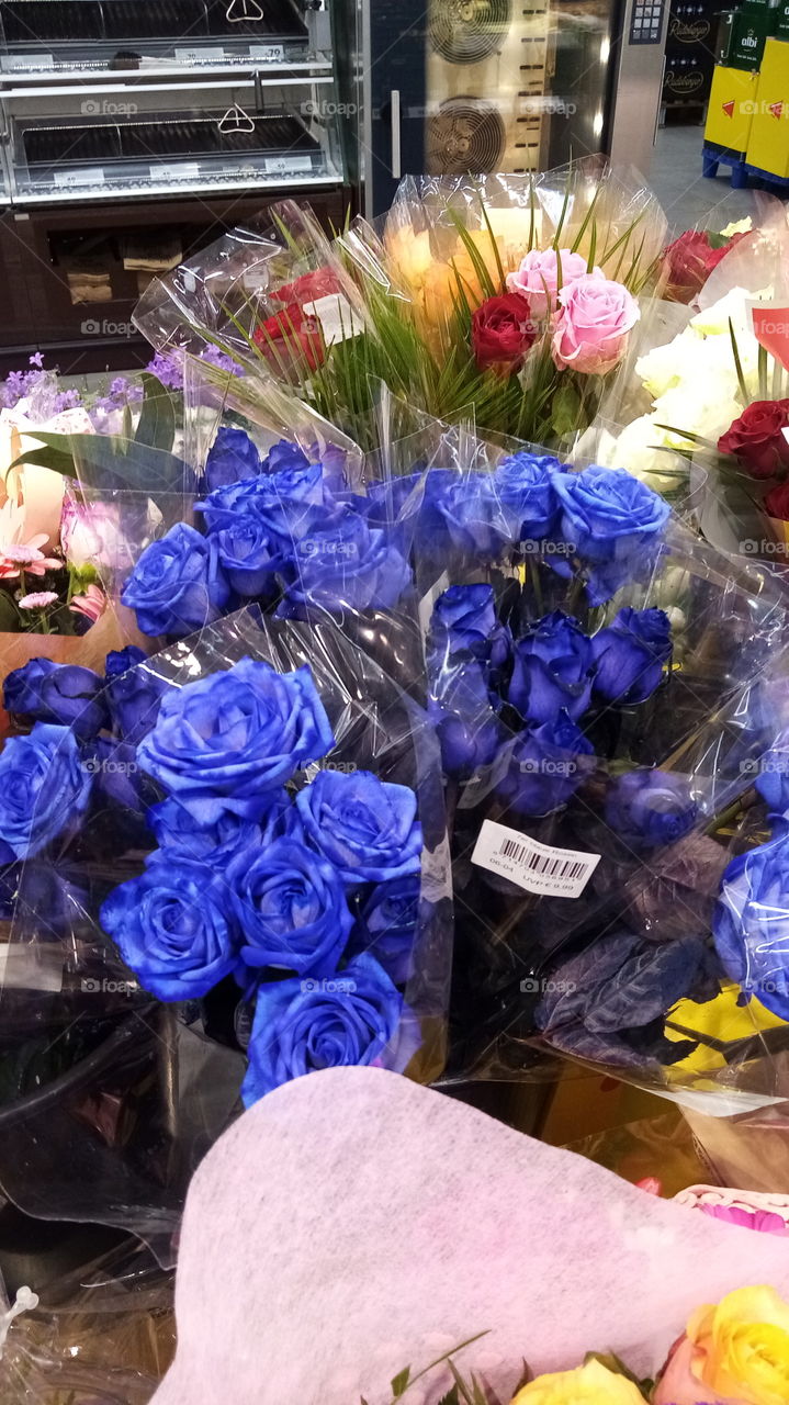 Blaue Rosen
