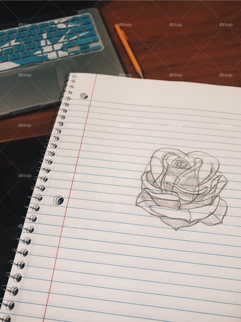 A doodle of the outline and foundation of a rose in pencil 