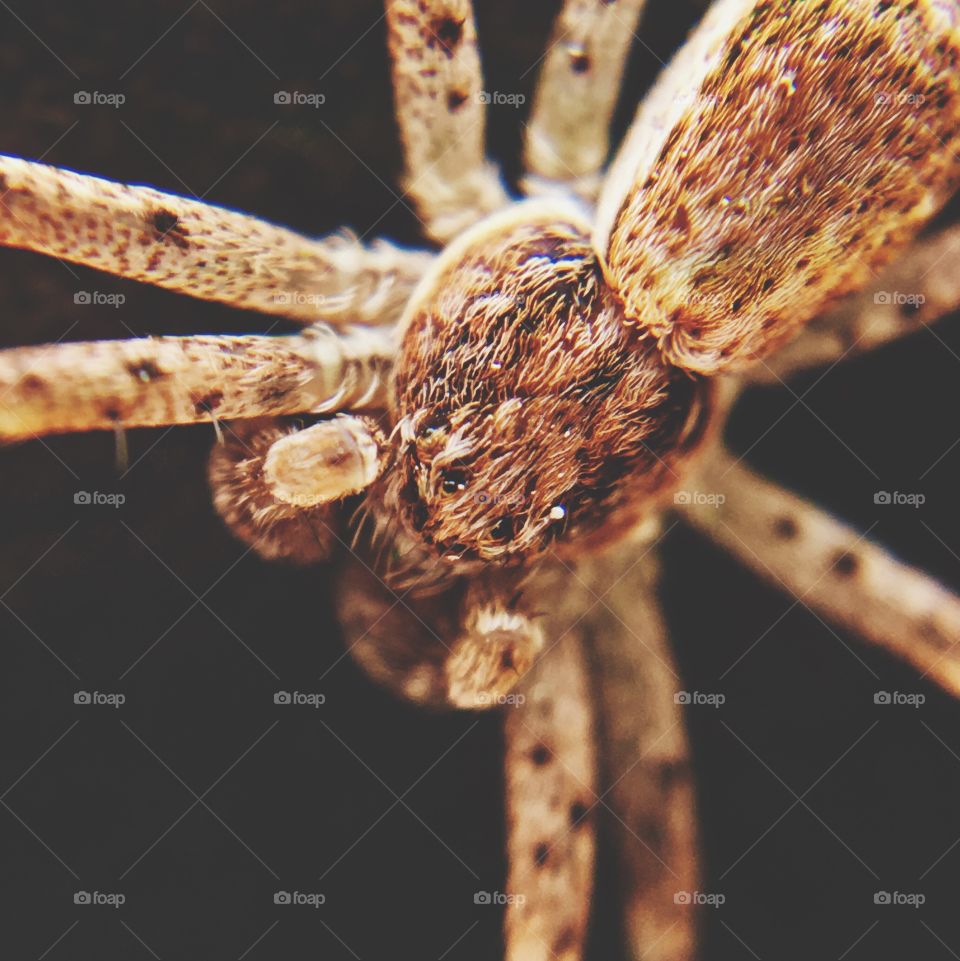 Captured with iPhone 6s Plus 