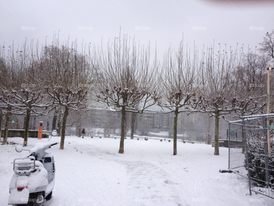 berlin snow winter trees by kattykatz