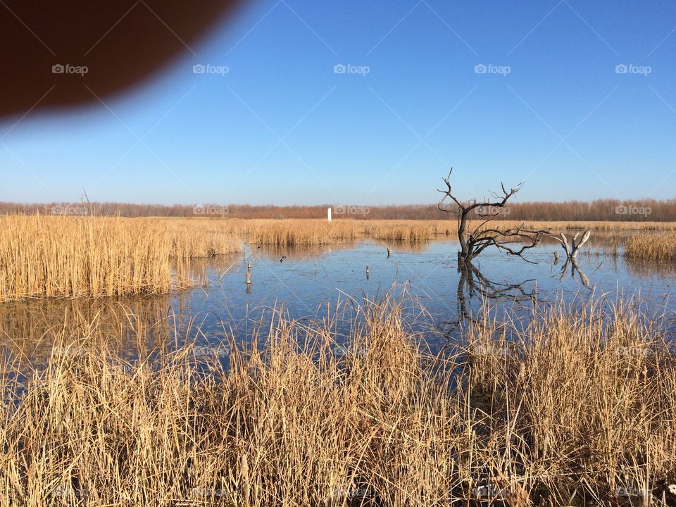 Water, Landscape, Reflection, No Person, Lake