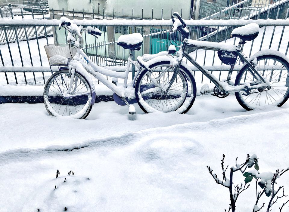 Frozen bikes ❄️