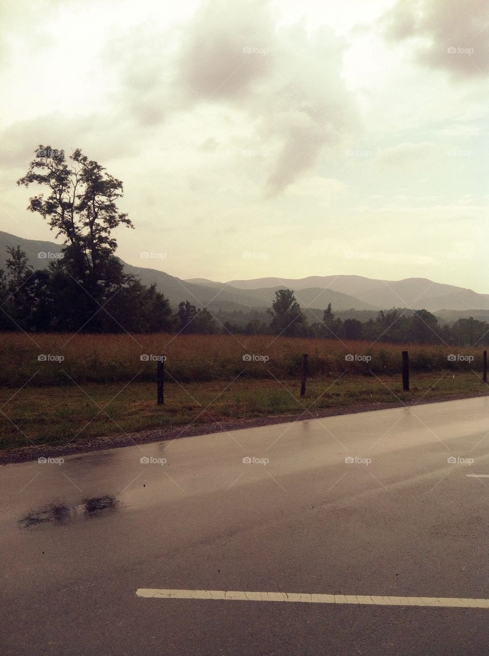 Smoky Mountain Road