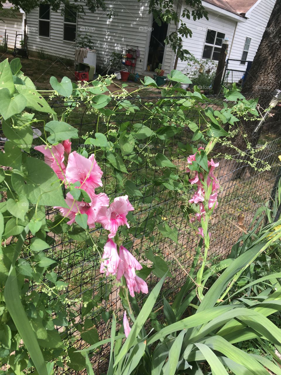 Take time to breathe in the beauty around you. Open your eyes and your heart and take it in.