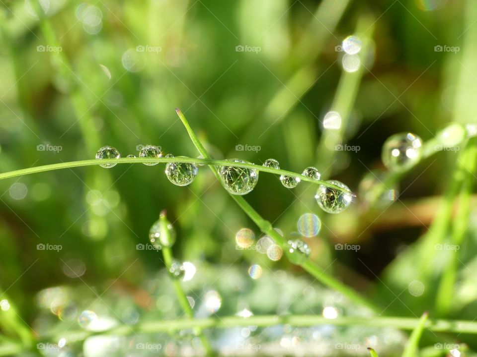 droplets