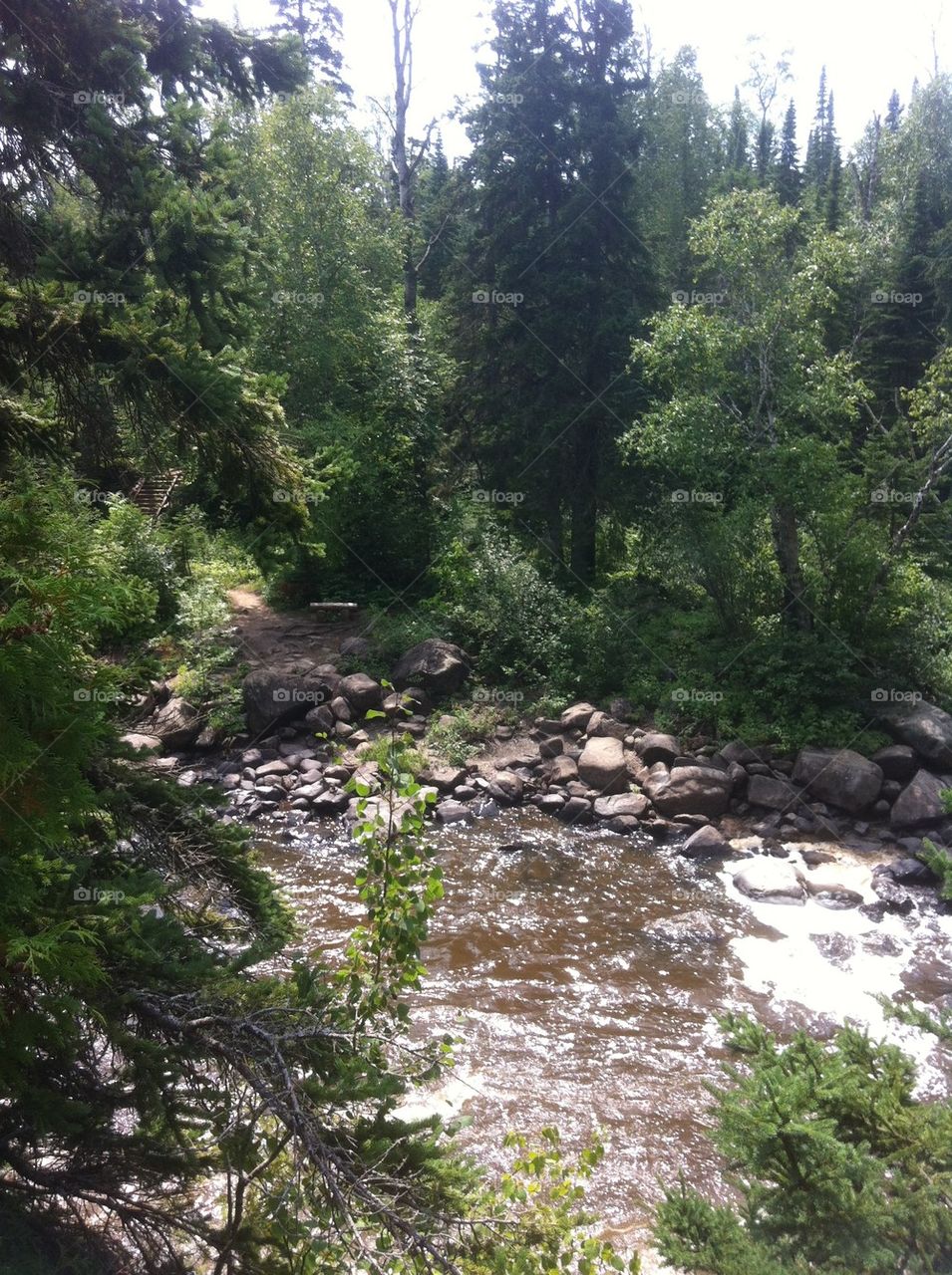 Pigeon River