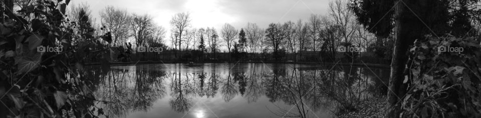 Trees reflected in a lake in winter time 