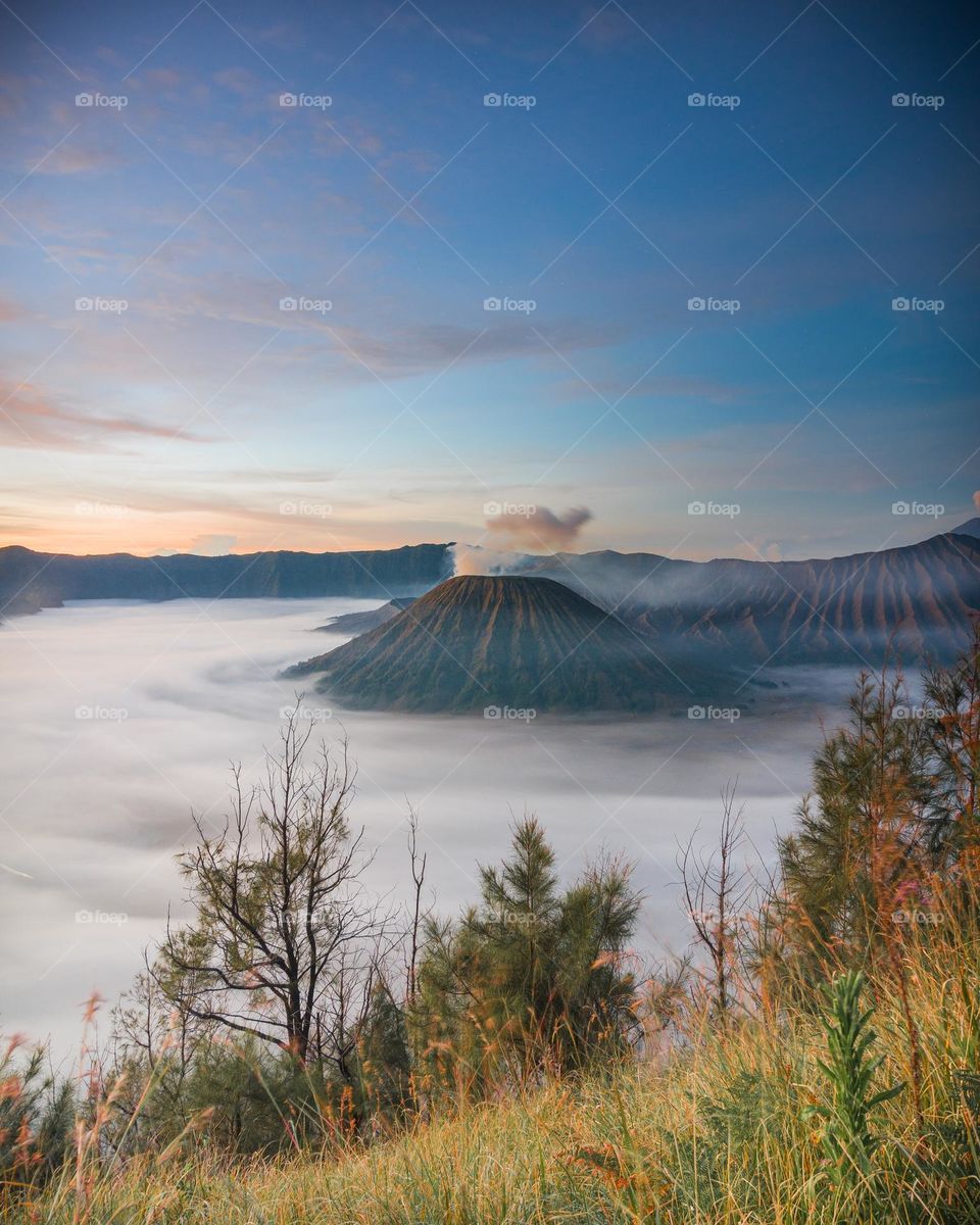 hidden paradise mt.bromo