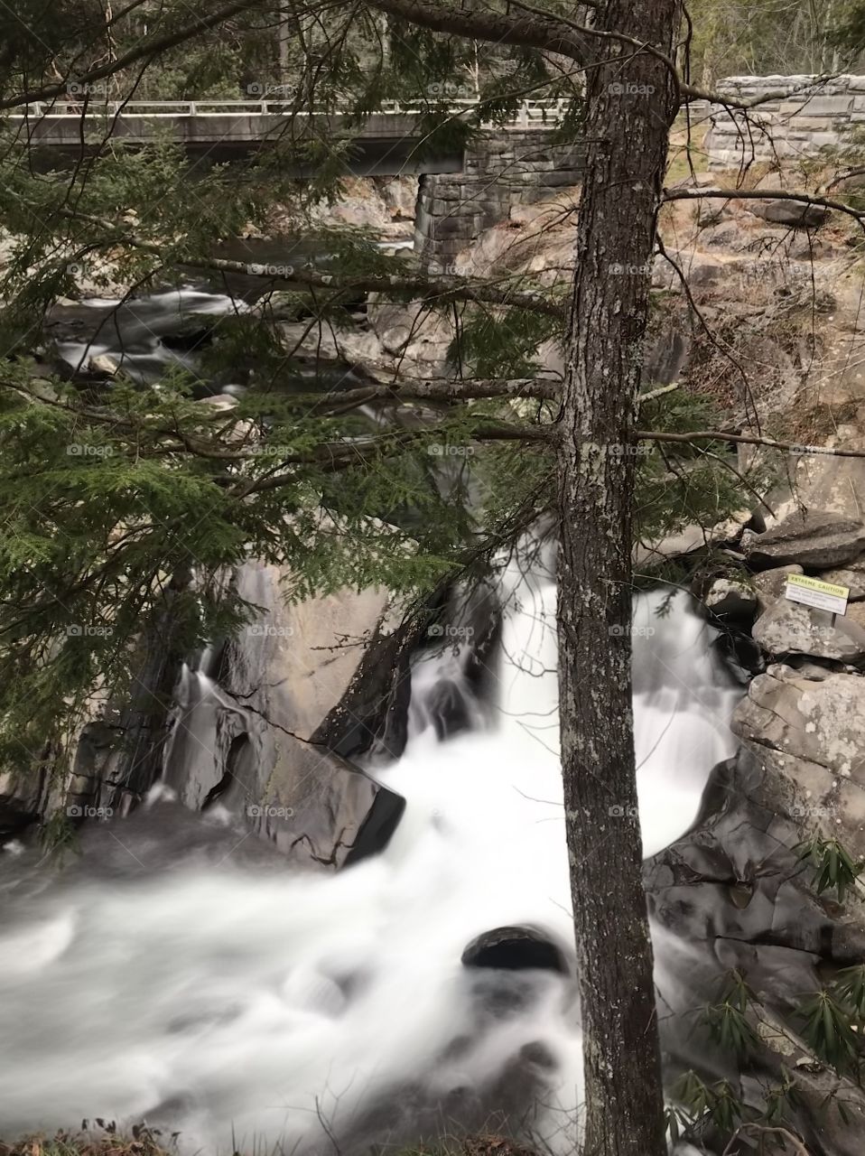 Smoky Mountain Sinks