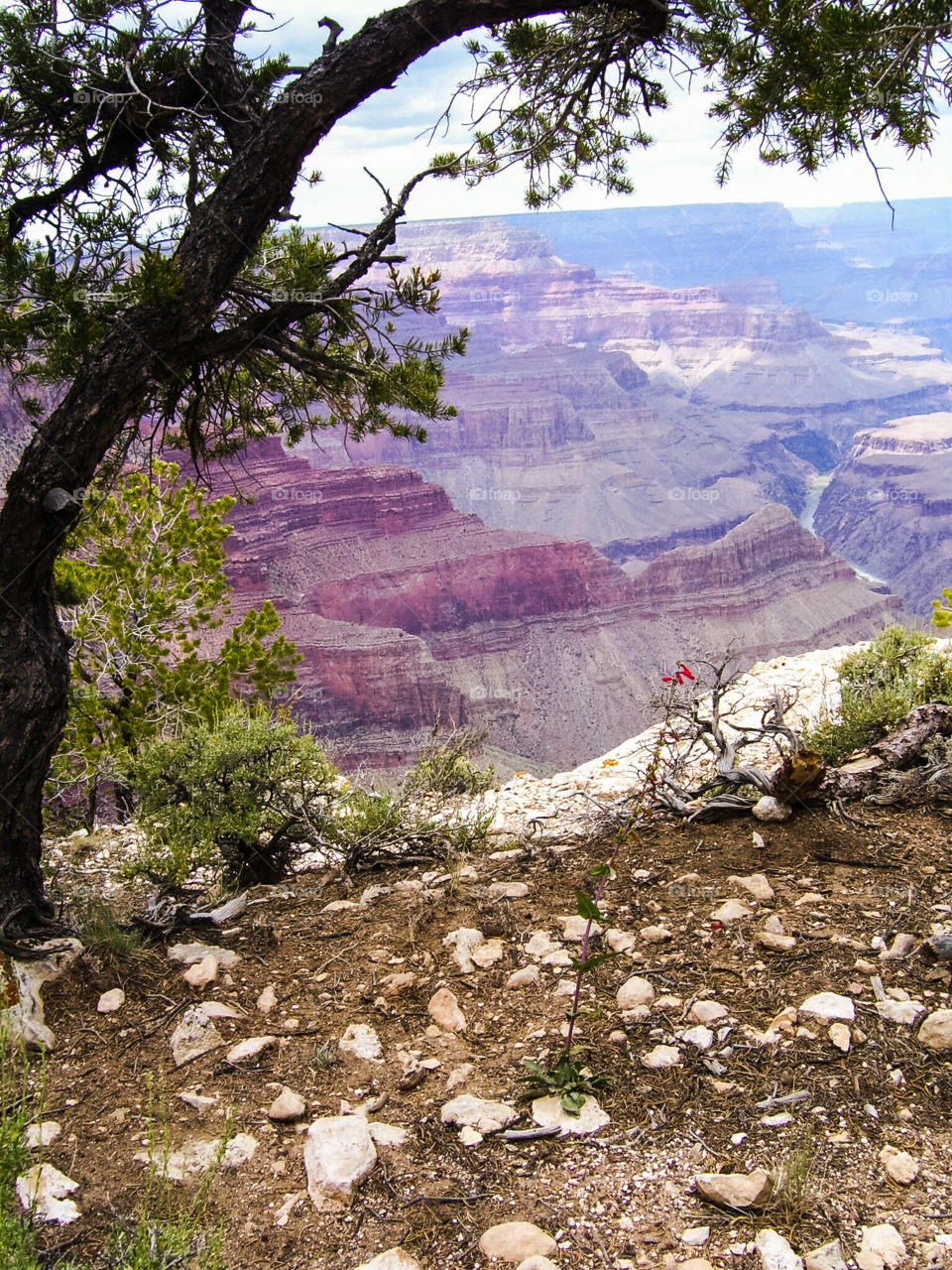 Grand Canyon