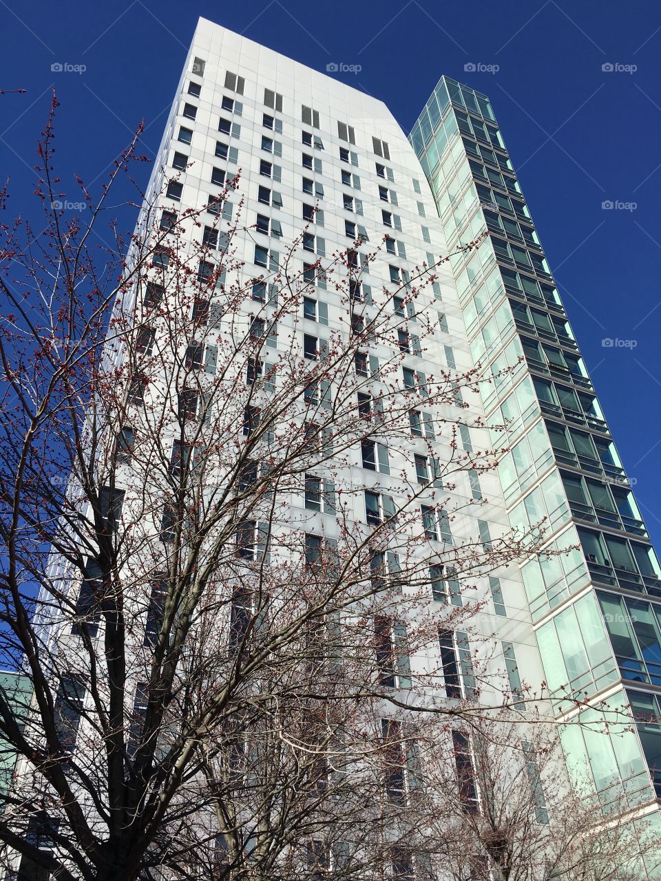 Northeastern University in Boston