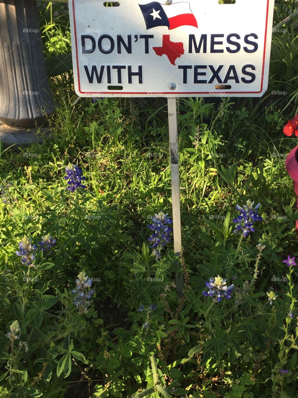 Don't mess with Texas