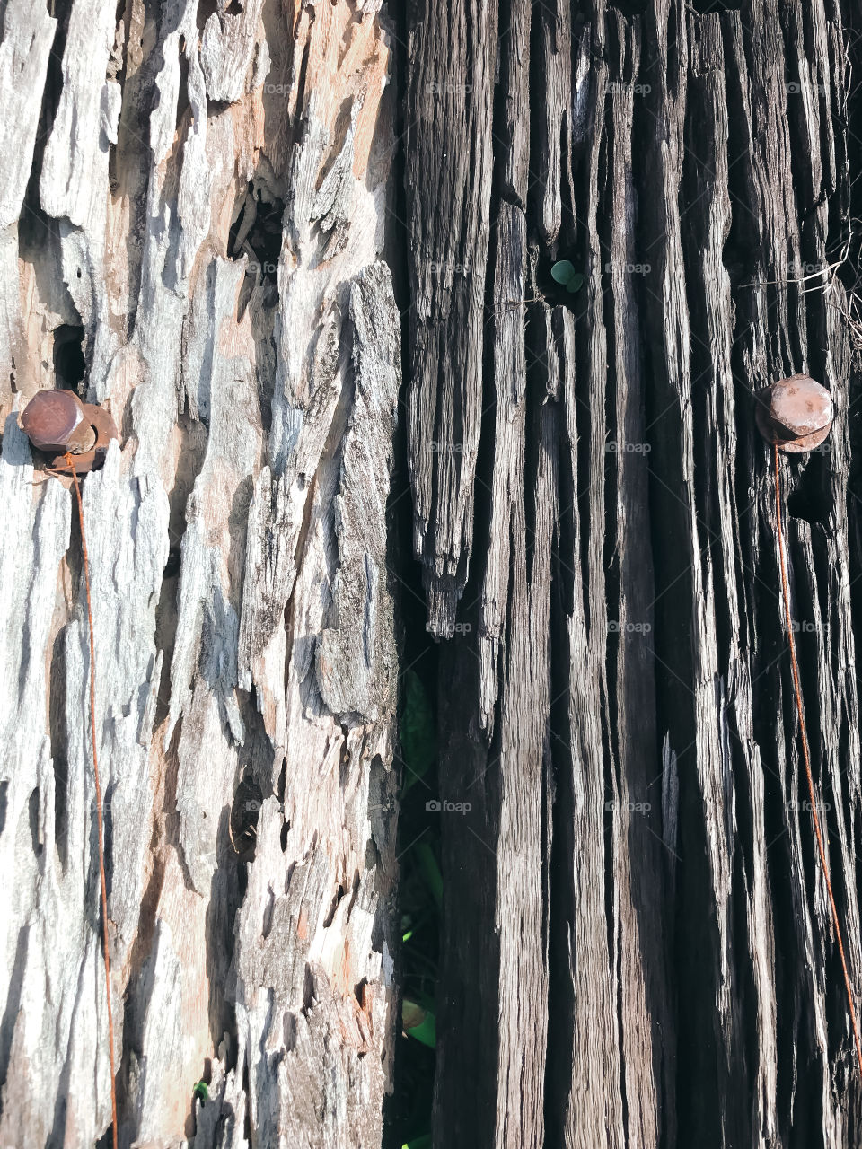 Rustic erosion wood shape and pattern