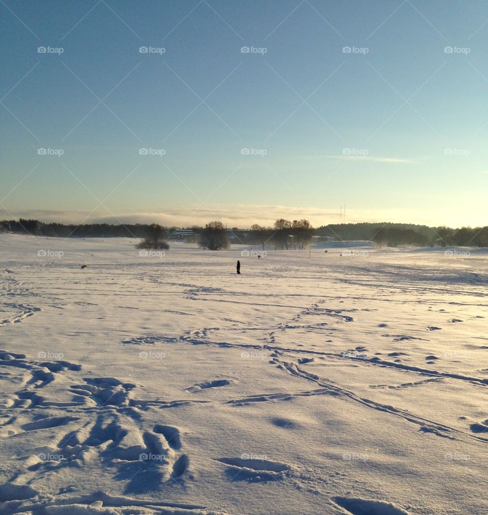 Snowy Stockholm 