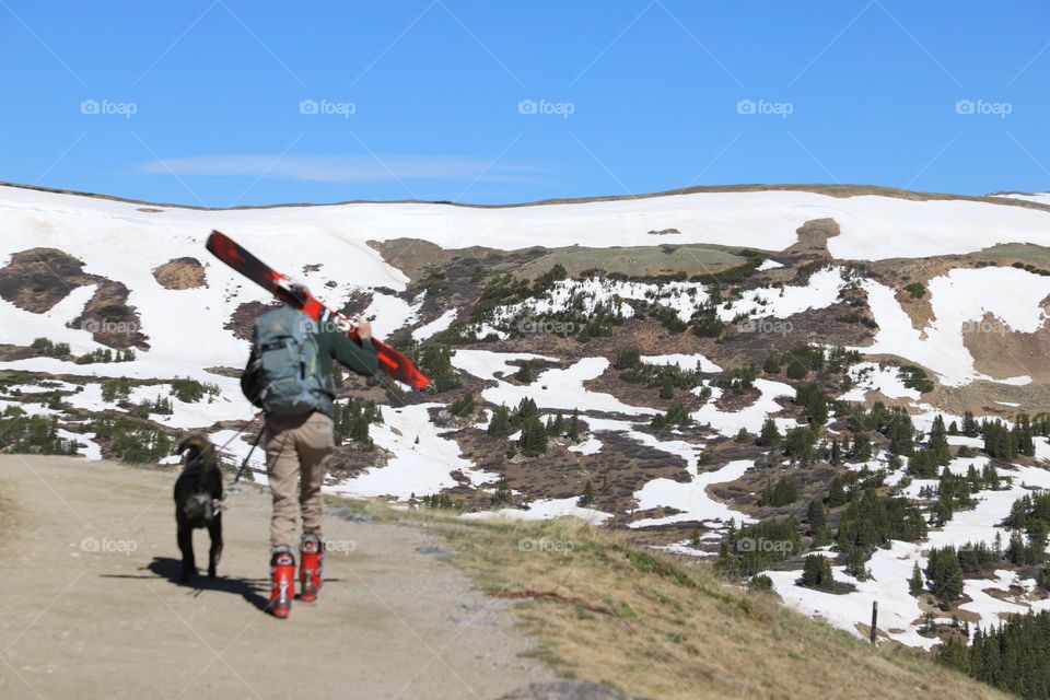 Man and his dog walking the hill towards the snow covered mountains 