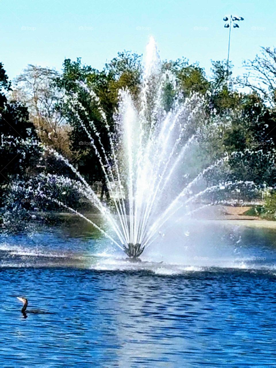 Fountain