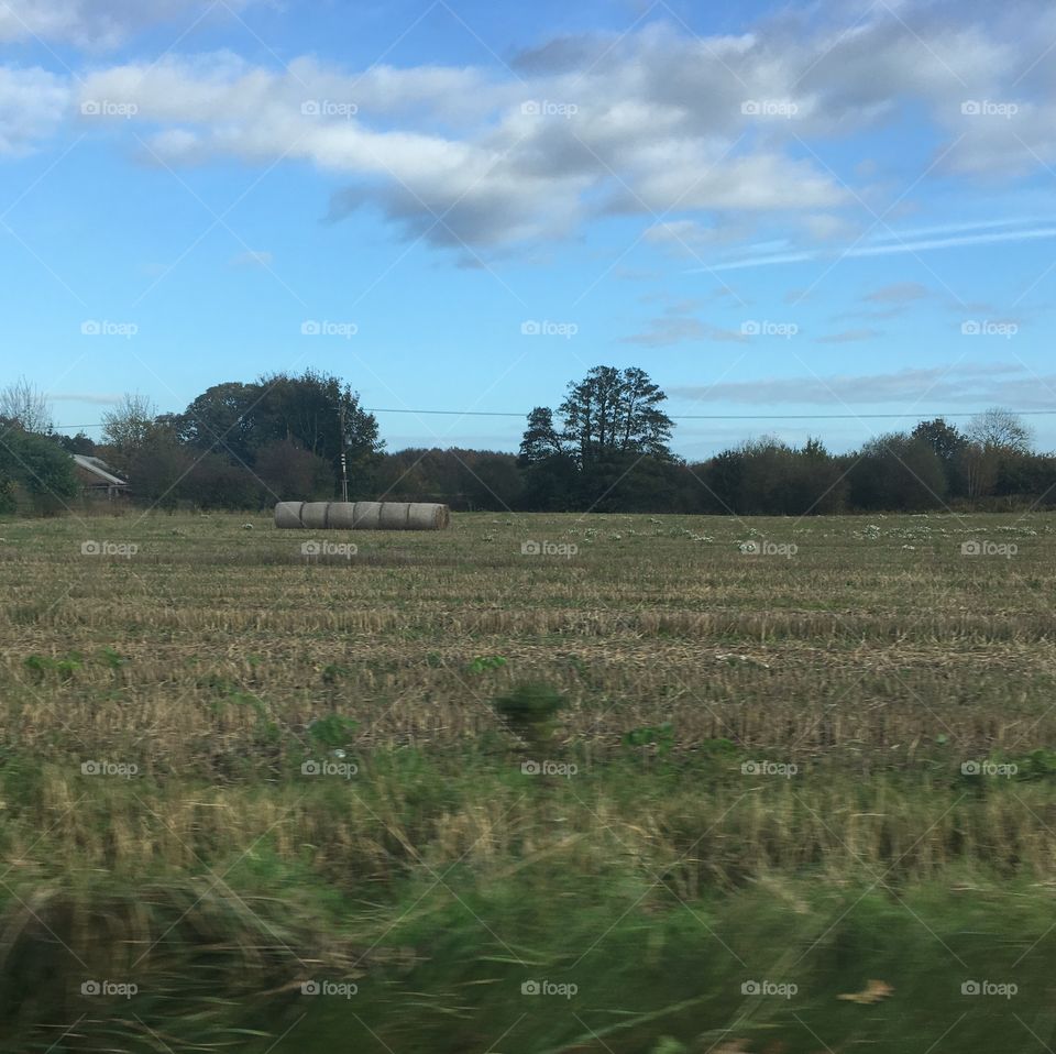 Fields of carrington 