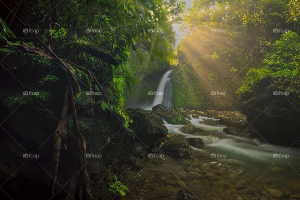 waterfall in the morning