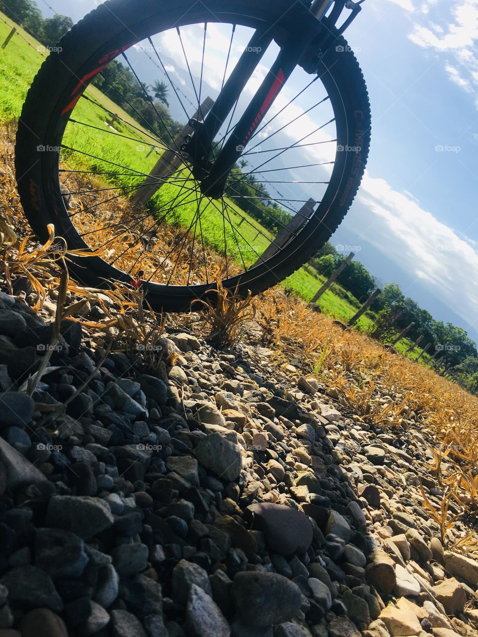 En esta foto a color, se ve la parte delantera de una bicicleta y un paisaje de día soleado. Resaltan los colores azul y blanco del cielo, verde oscuro y lima de la vegetación y amarillo pálido de las rocas y el pasto de la base de la imagen.