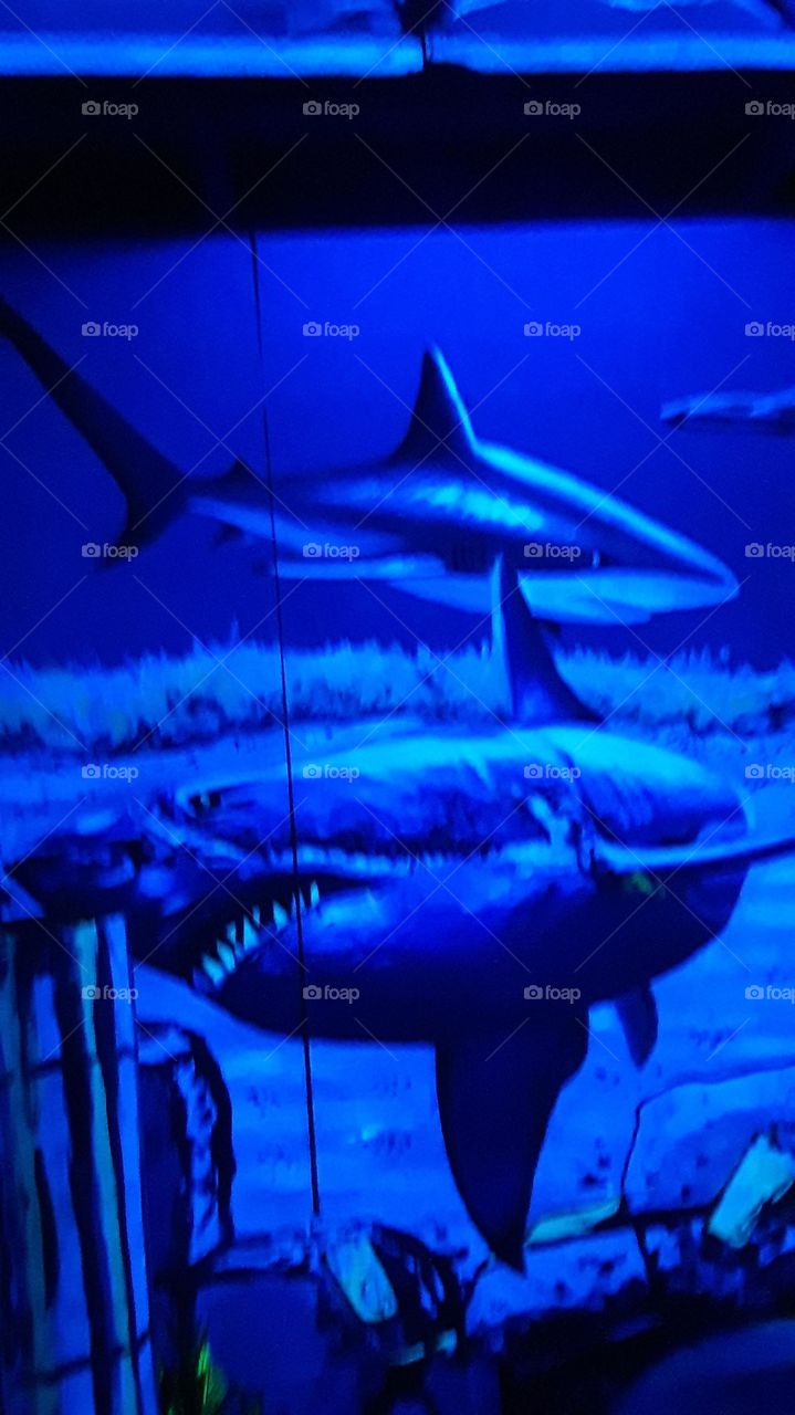 Glow in the dark painted artwork.