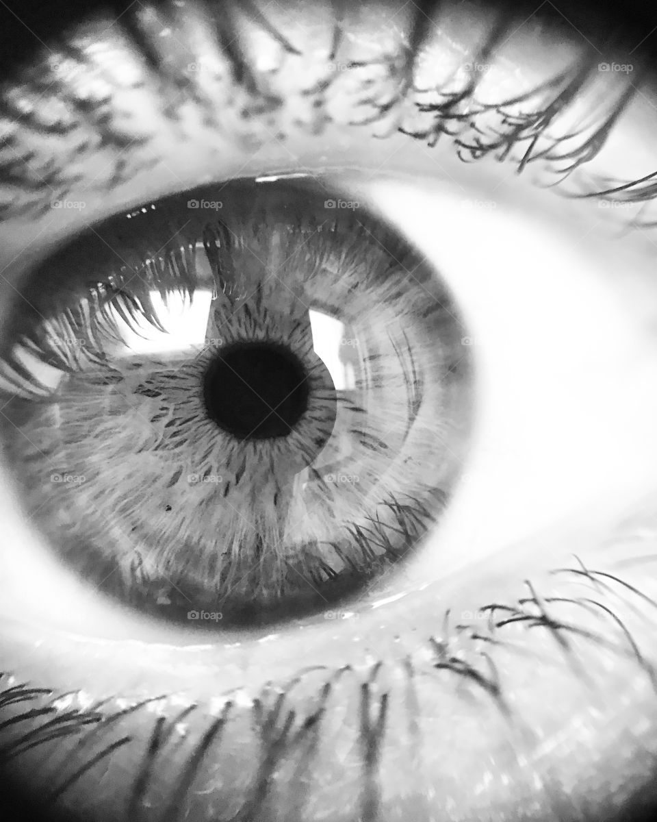 Foto tirada com lente macro 