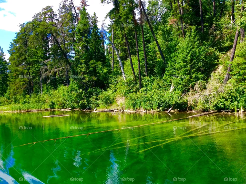 Green Lake
