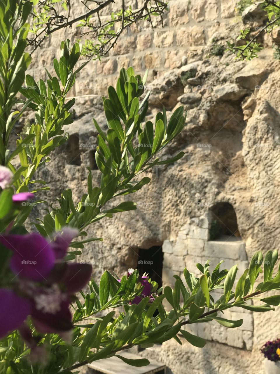 Religion - The Garden of the Empty Tomb in - Jerusalem, Israel 