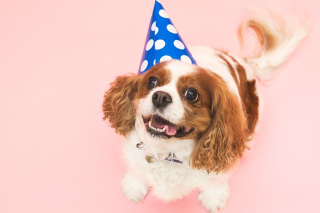 Birthday