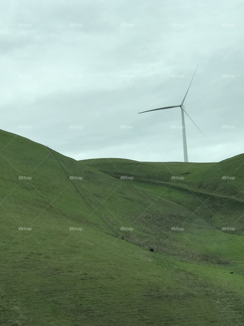 Green hills and windmills 
