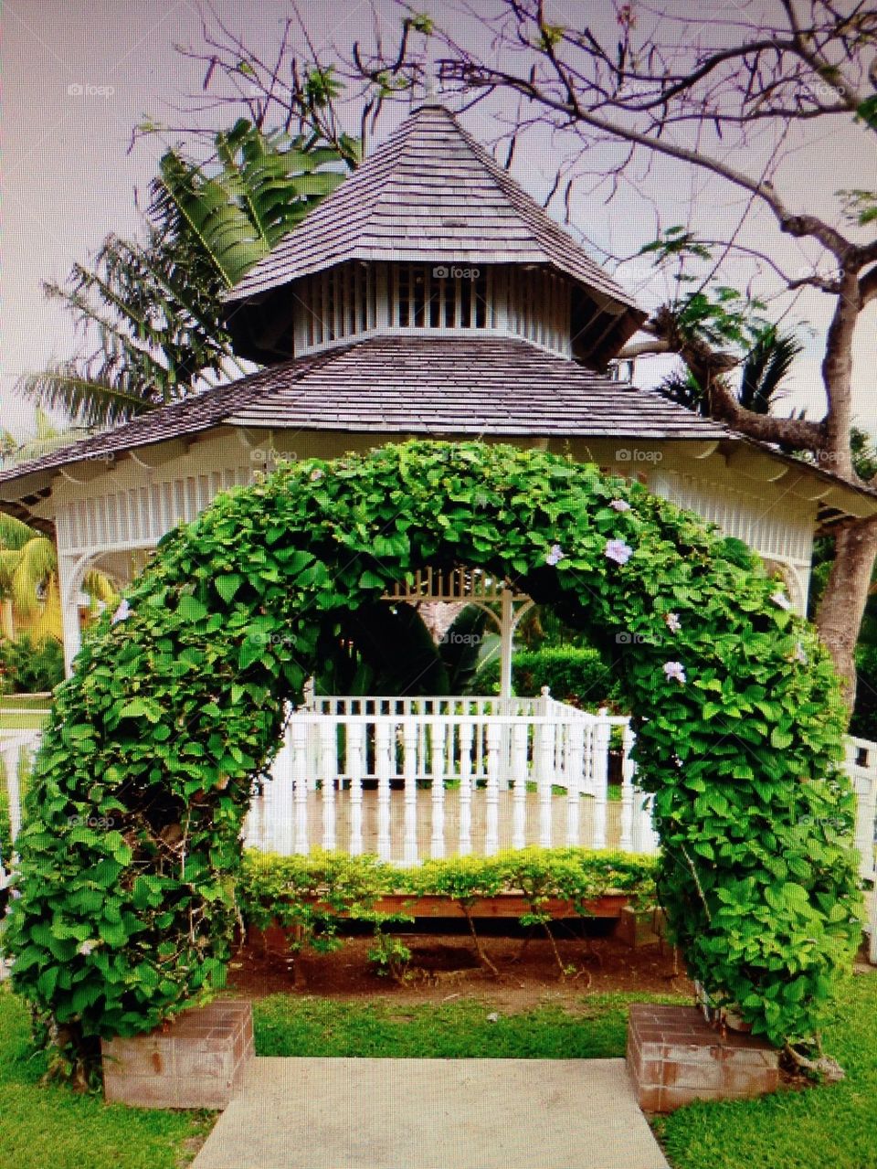 Jamaican gazebo