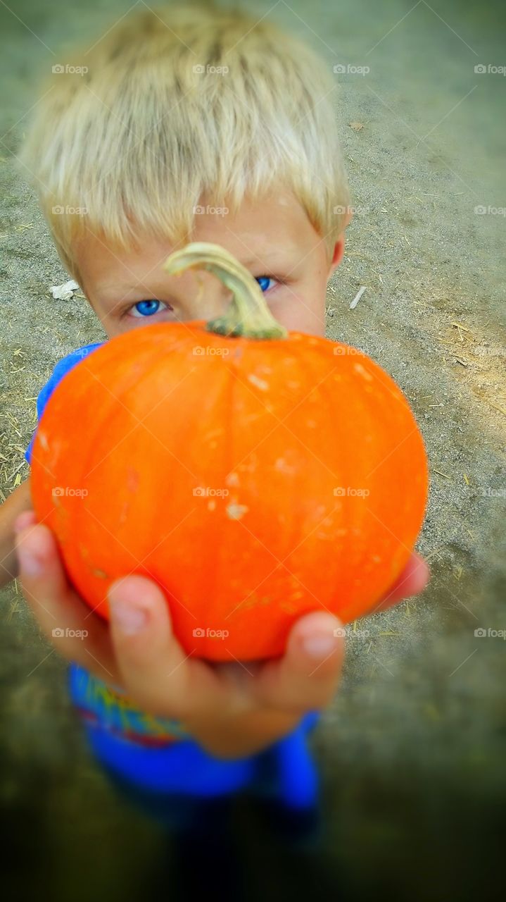 Pumpkin. We all like to pick out pumpkins