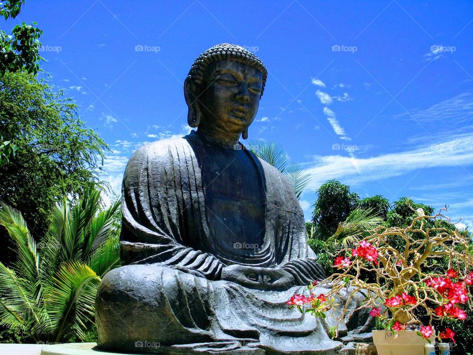Buddha . Lahaina