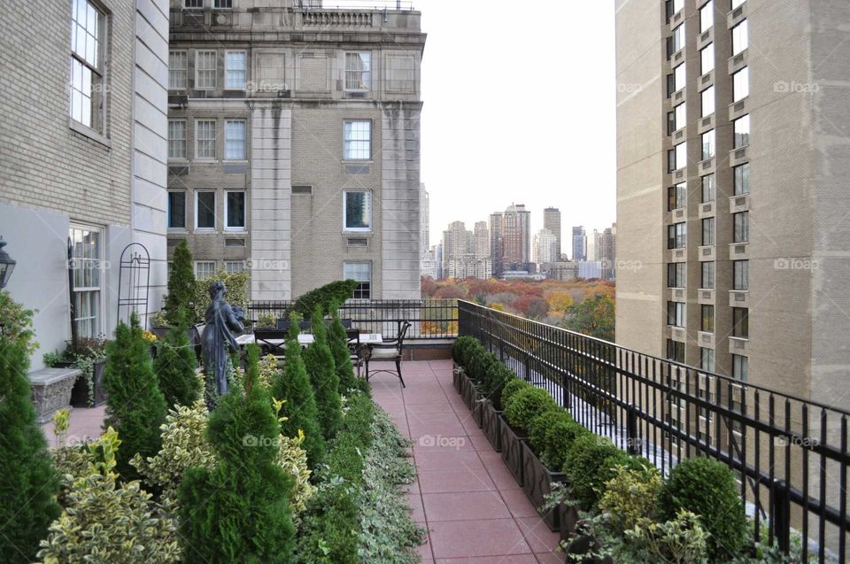 Rooftop in NYC