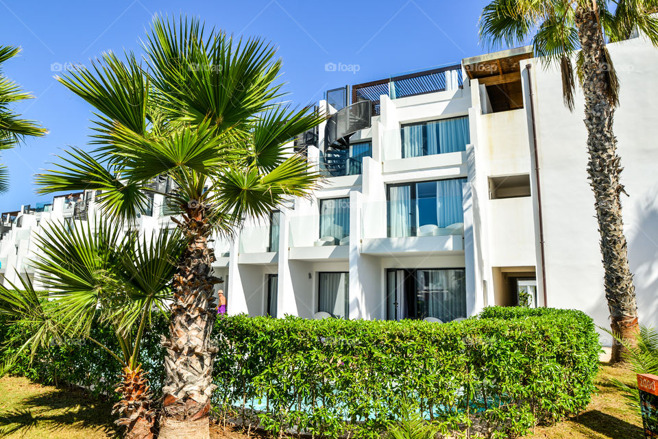 No Person, Tree, House, Palm, Architecture