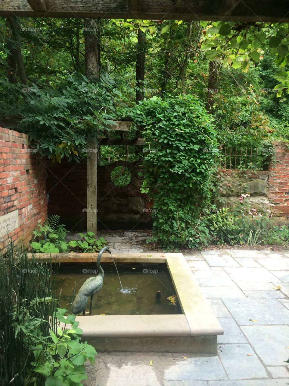 Secret Garden - Inniswoods Botanical Garden