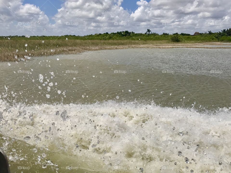 Everglades airboat ride 