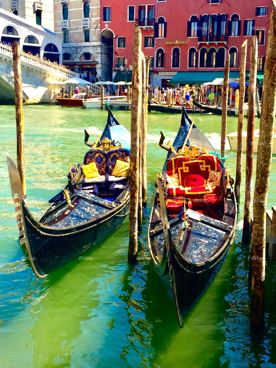 Summer Venecia