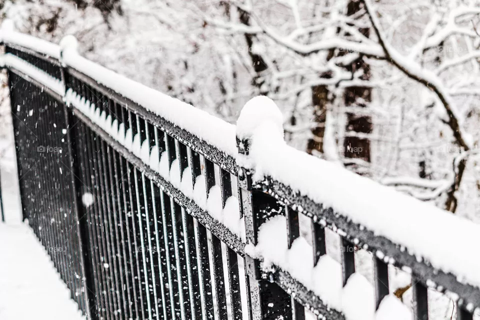 snow on a fence