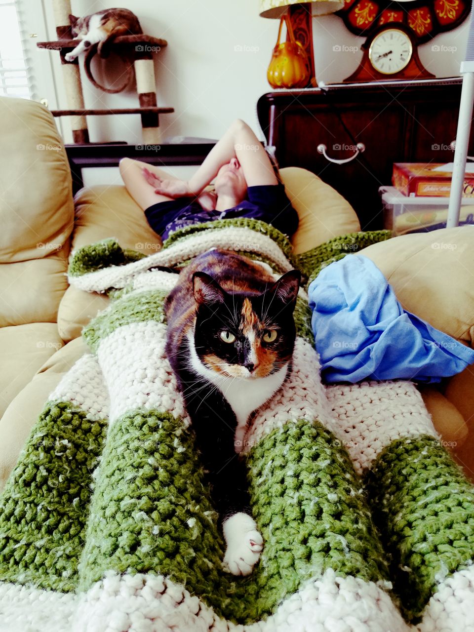 Cat Watching Over a Nap